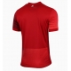 Polonia Tricou Fotbal Replică European 2024 Barbati Deplasare